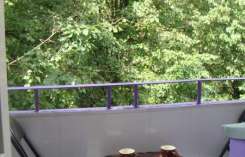 DSC08019.JPG