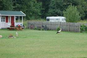 DSC_0103.jpg