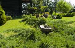 DSCF0034_2.jpg
